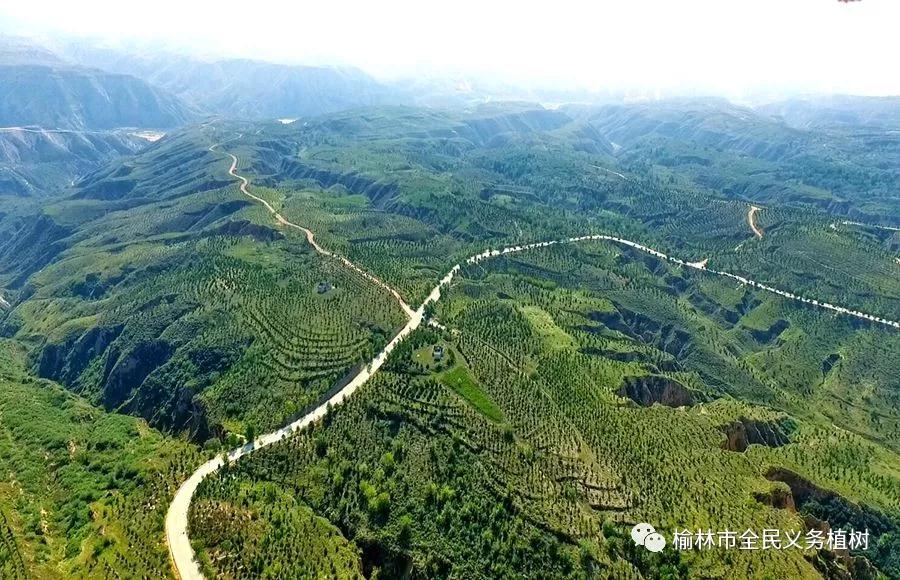 微信图片_20190805170947.jpg