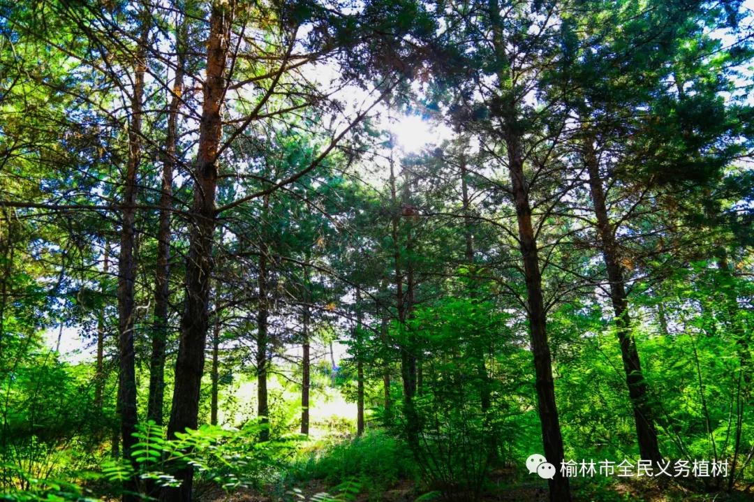 微信图片_20190814185951.jpg