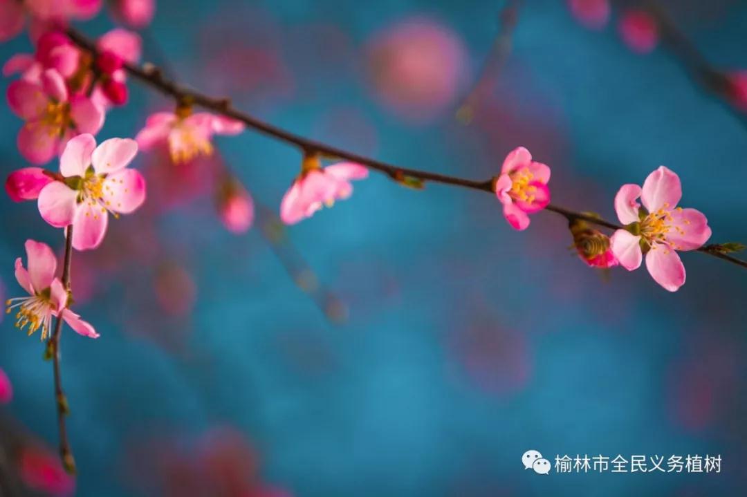 微信图片_20190830183334.jpg